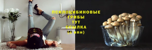 2c-b Белокуриха