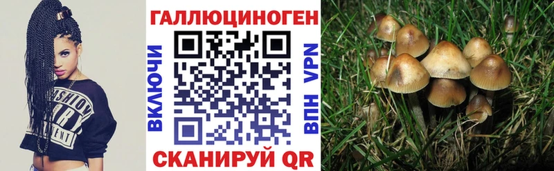 Галлюциногенные грибы GOLDEN TEACHER  купить закладку  Тобольск 
